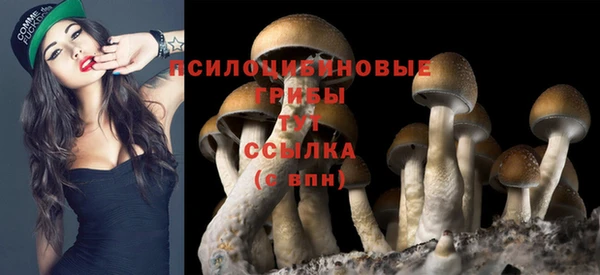 COCAINE Беломорск