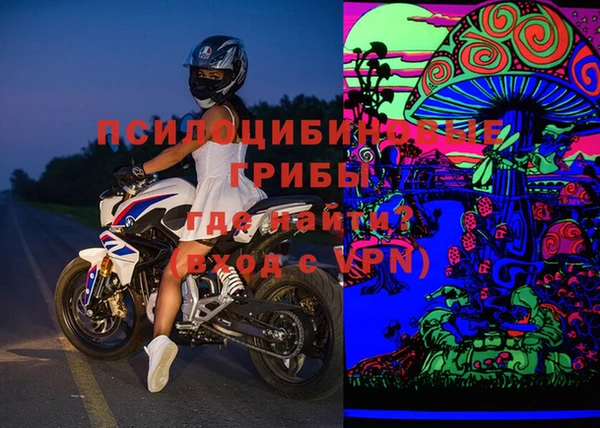 бошки Белокуриха
