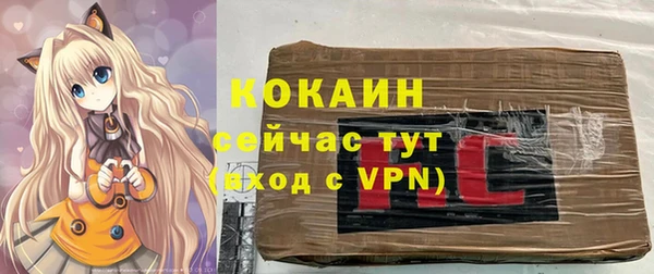 бошки Белокуриха