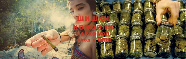 бошки Белокуриха